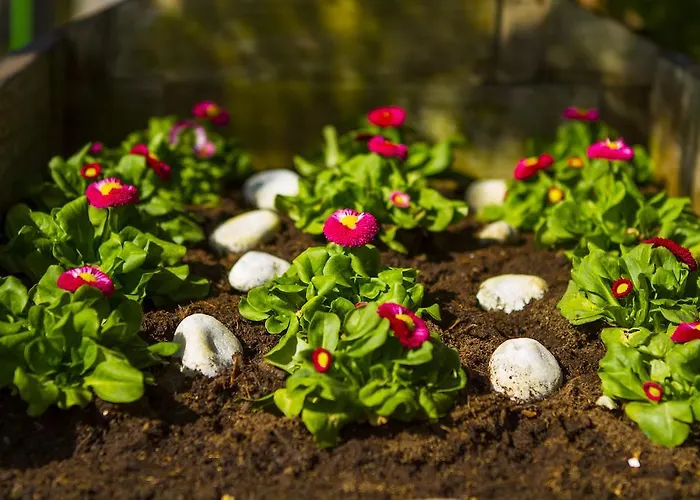Hotel Heidekrug Oberursel